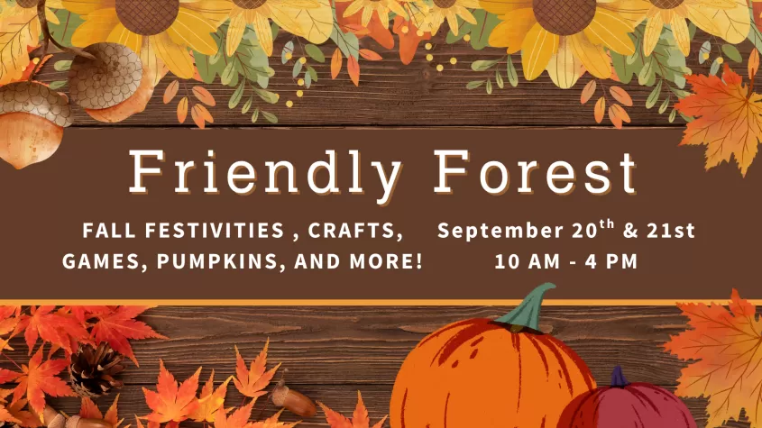 Friendly Forest