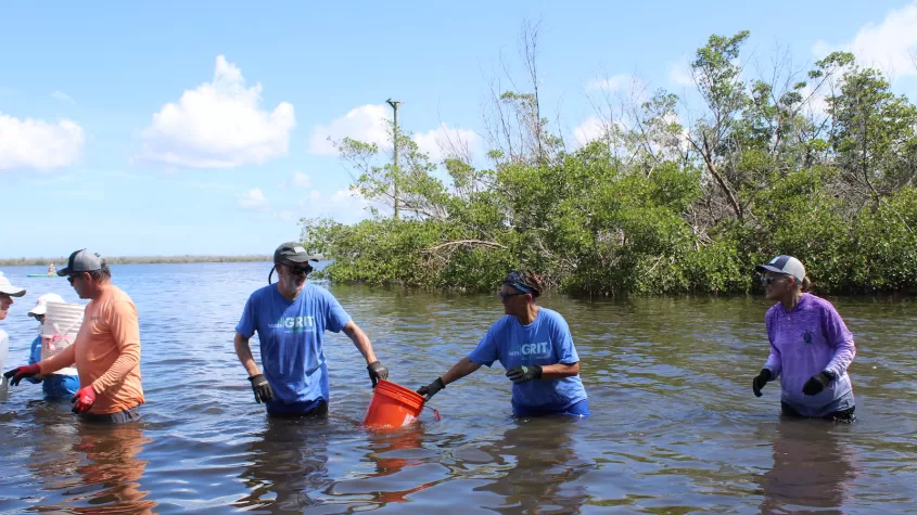 Volunteers moving oyster buckets in the water