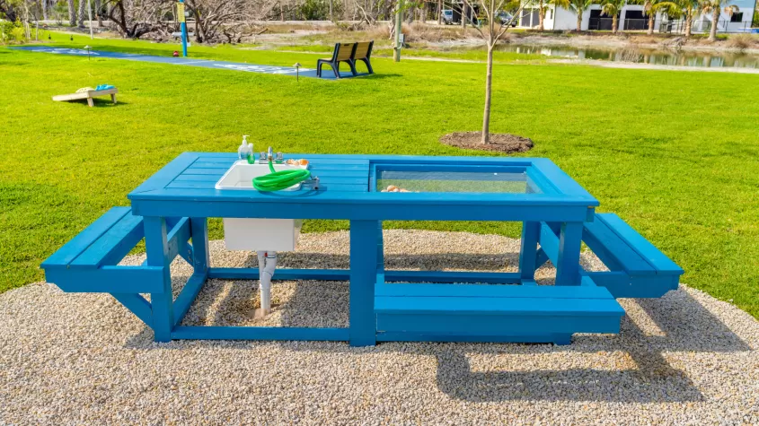 Shell Cleaning Station