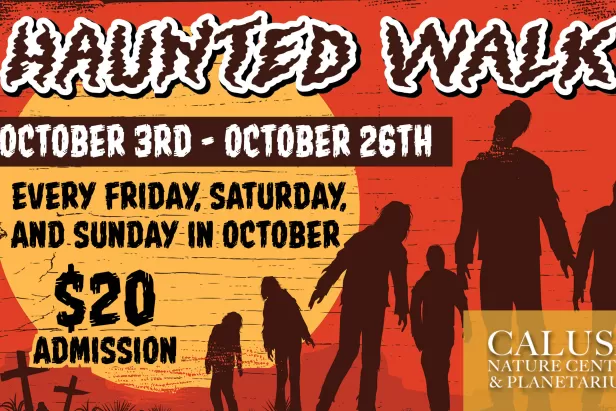 Haunted Walk
