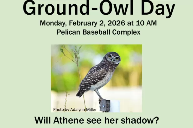 Ground Owl Day Flyer
