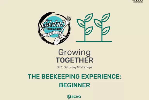 Beekeeping Beginner
