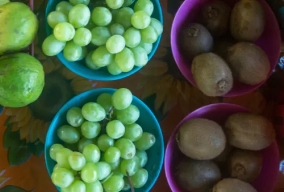 Farmer's Markets